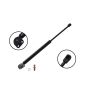 FCS Struts 84554 Liftgate Lift Support