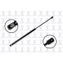 FCS Struts 84582 Hood Lift Support