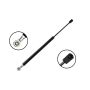 FCS Struts 84608 Back Glass Lift Support