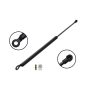 FCS Struts 84611 Liftgate Lift Support