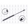 FCS Struts 84618 Liftgate Lift Support