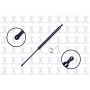 FCS Struts 84620 Liftgate Lift Support