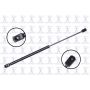 FCS Struts 84645 Back Glass Lift Support