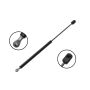 FCS Struts 84676 Back Glass Lift Support