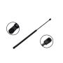 FCS Struts 84717 Tailgate Lift Support