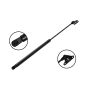 FCS Struts 84731 Liftgate Lift Support