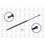 FCS Struts 84751 Liftgate Lift Support