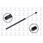 FCS Struts 84762 Back Glass Lift Support