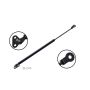 FCS Struts 84811 Liftgate Lift Support
