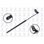 FCS Struts 84836 Liftgate Lift Support