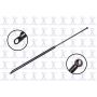 FCS Struts 84851 Liftgate Lift Support