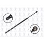 FCS Struts 84860 Liftgate Lift Support