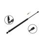 FCS Struts 84867R Tailgate Lift Support