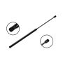 FCS Struts 84880 Liftgate Lift Support