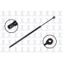 FCS Struts 84897 Liftgate Lift Support