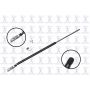 FCS Struts 84905 Liftgate Lift Support