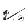 FCS Struts 84913 Hood Lift Support