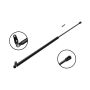 FCS Struts 84915 Tailgate Lift Support