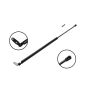 FCS Struts 84916 Tailgate Lift Support