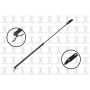 FCS Struts 84930 Liftgate Lift Support