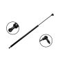 FCS Struts 84962 Trunk Lid Lift Support
