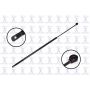 FCS Struts 84967 Liftgate Lift Support