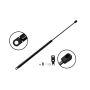 FCS Struts 84980 Tailgate Lift Support