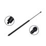 FCS Struts 84990 Tailgate Lift Support