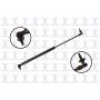 FCS Struts 86104 Liftgate Lift Support