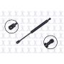 FCS Struts 86143 Trunk Lid Lift Support