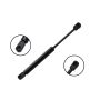 FCS Struts 86180 Trunk Lid Lift Support