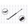 FCS Struts 86191L Liftgate Lift Support