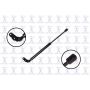 FCS Struts 86191R Liftgate Lift Support