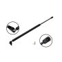 FCS Struts 86206L Liftgate Lift Support