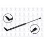 FCS Struts 86219L Tailgate Lift Support