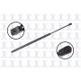 FCS Struts 86257 Liftgate Lift Support