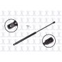 FCS Struts 86301 Hood Lift Support