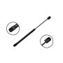 FCS Struts 86304 Hood Lift Support