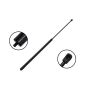 FCS Struts 86343 Hood Lift Support