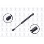 FCS Struts 86418 Trunk Lid Lift Support
