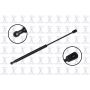 FCS Struts 86440 Trunk Lid Lift Support