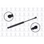 FCS Struts 86481 Hood Lift Support