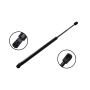 FCS Struts 86488 Hood Lift Support
