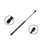 FCS Struts 86492 Liftgate Lift Support