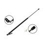 FCS Struts 86517L Liftgate Lift Support