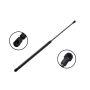 FCS Struts 86541 Liftgate Lift Support
