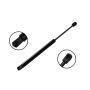 FCS Struts 86573 Trunk Lid Lift Support