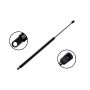 FCS Struts 86599 Hood Lift Support