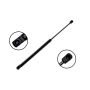FCS Struts 86638 Liftgate Lift Support