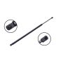 FCS Struts 86656 Liftgate Lift Support